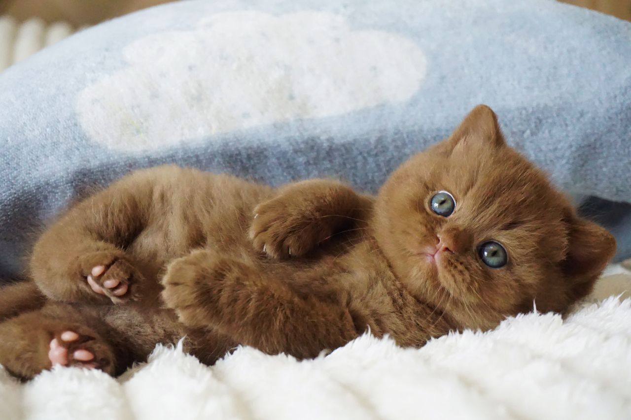 WhatsApp Image 2026-03-28 at 18.32.33 (1)