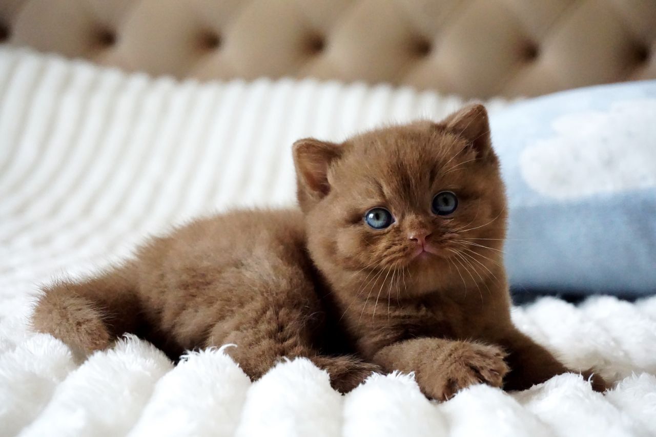 WhatsApp Image 2026-03-28 at 18.32.33 (2)