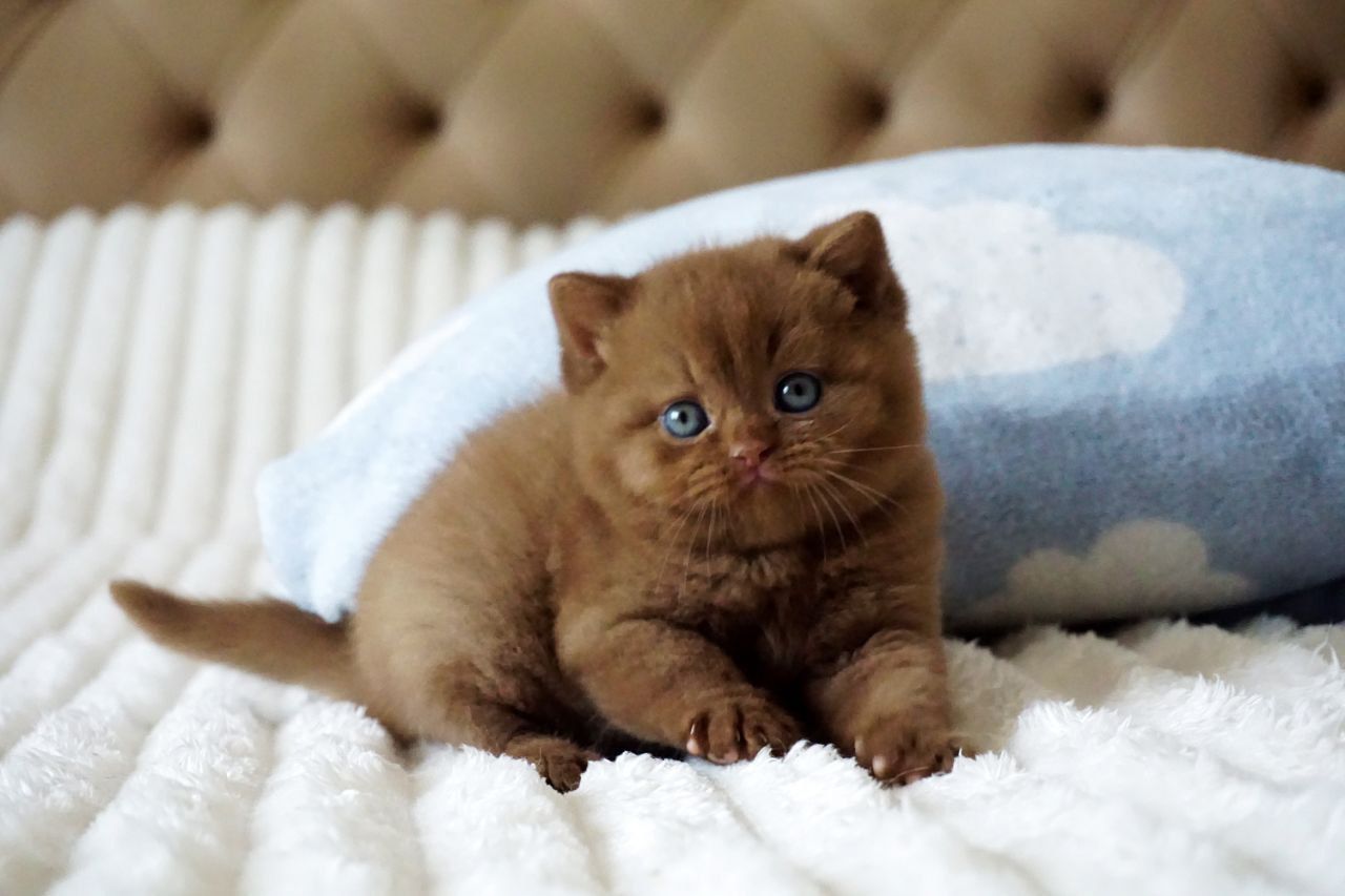 WhatsApp Image 2026-03-28 at 18.32.33 (3)