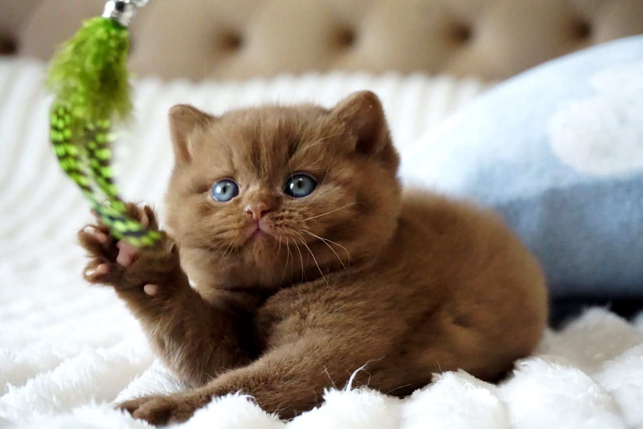 WhatsApp Image 2026-03-28 at 18.32.33