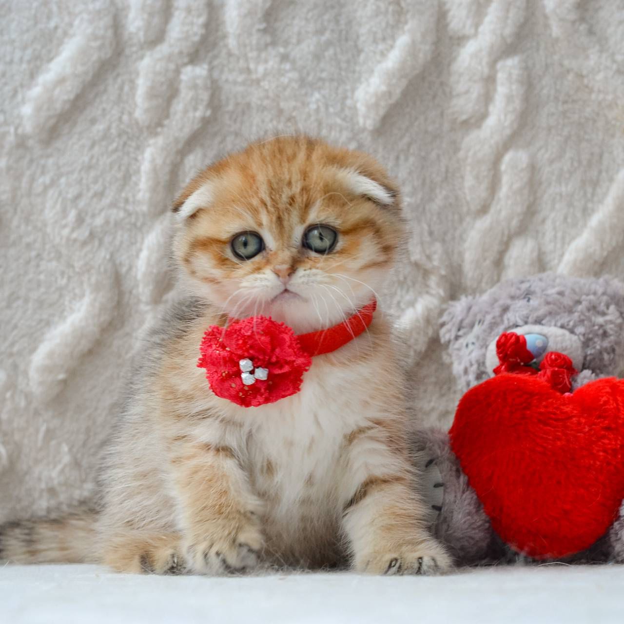 WhatsApp Image 2026-04-03 at 19.18.18