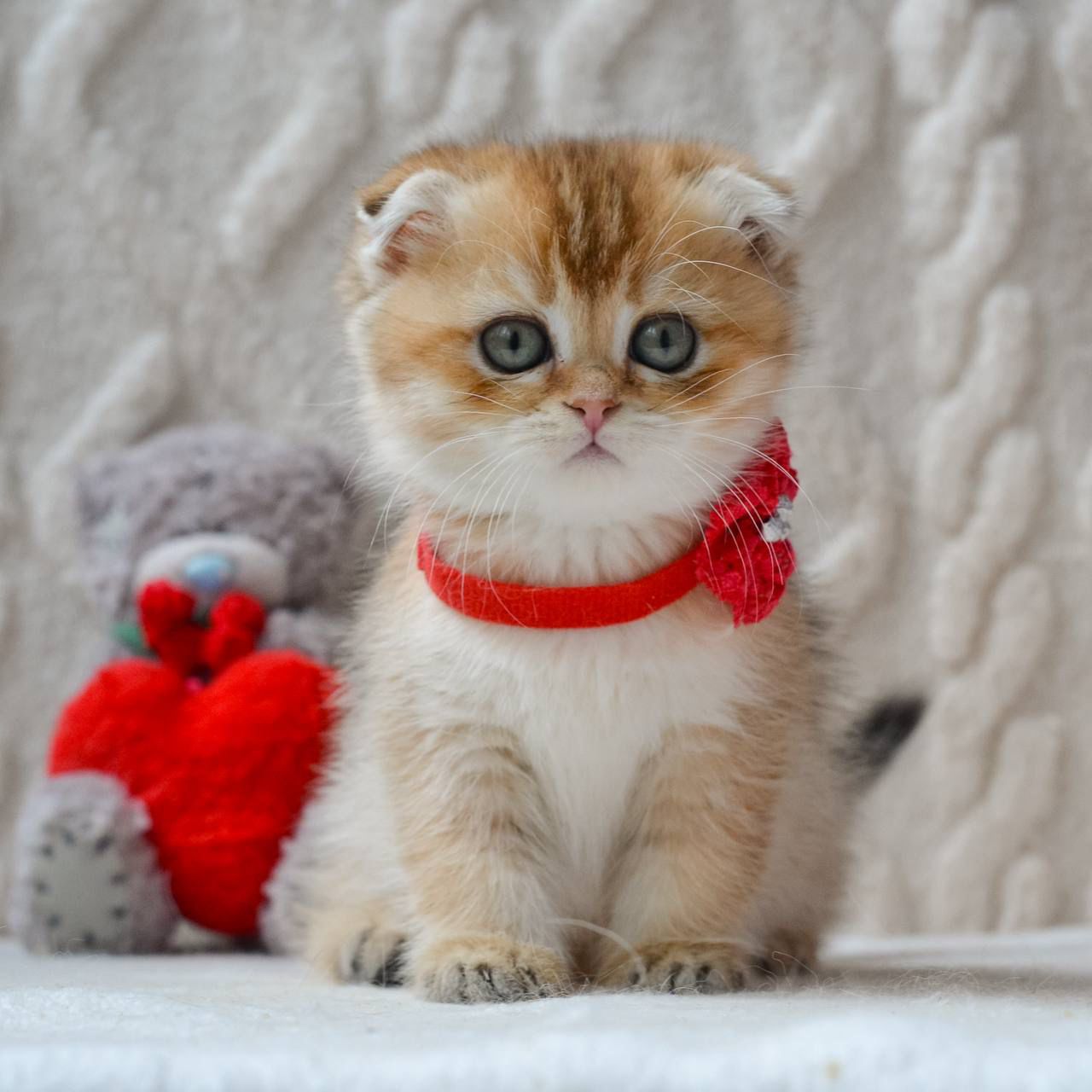 WhatsApp Image 2026-04-03 at 19.18.43 (3)