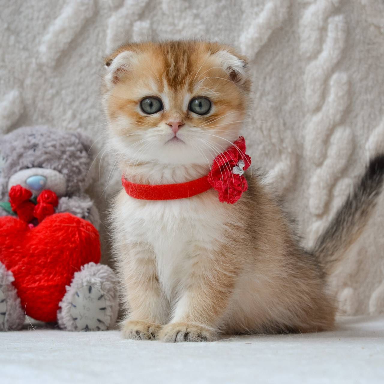 WhatsApp Image 2026-04-03 at 19.18.43 (4)