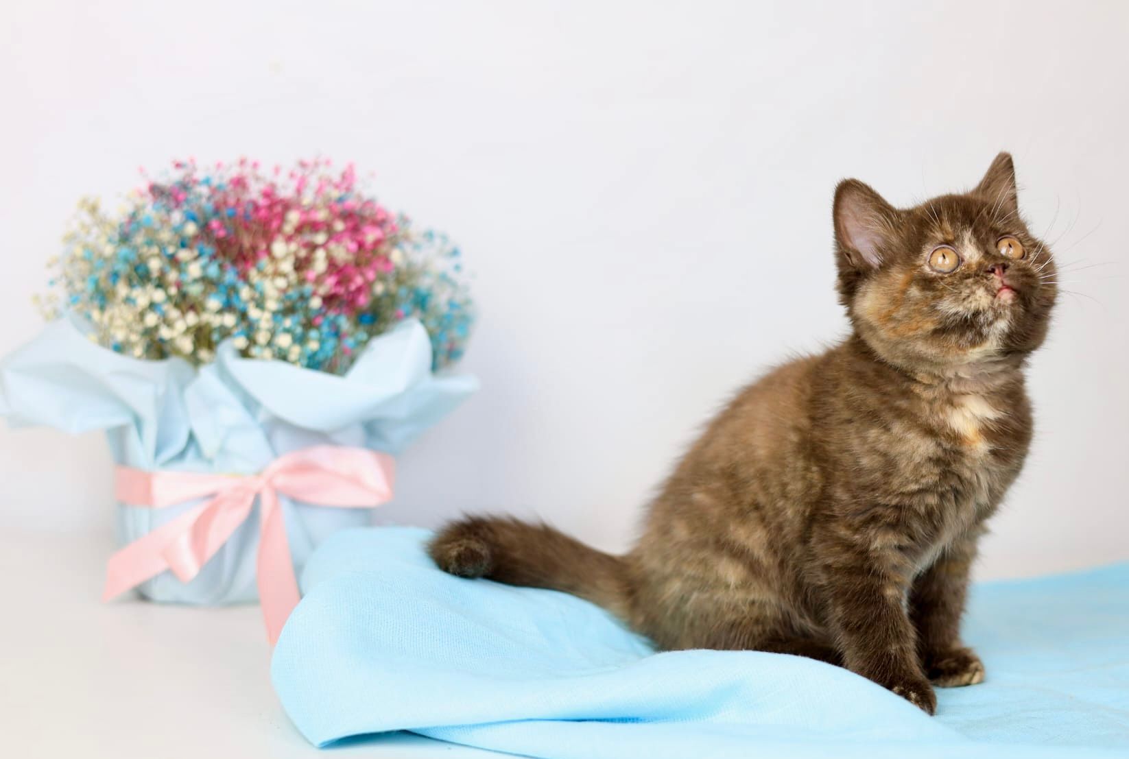 WhatsApp Image 2026-04-06 at 19.25.18 (2)