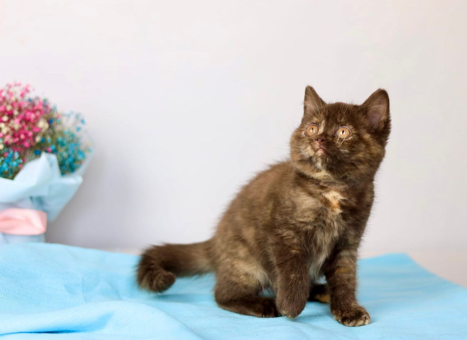 WhatsApp Image 2026-04-06 at 19.25.18