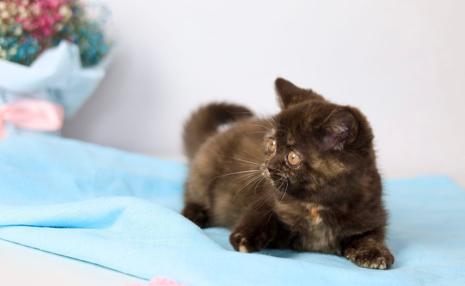 WhatsApp Image 2026-04-06 at 19.25.19 (2)