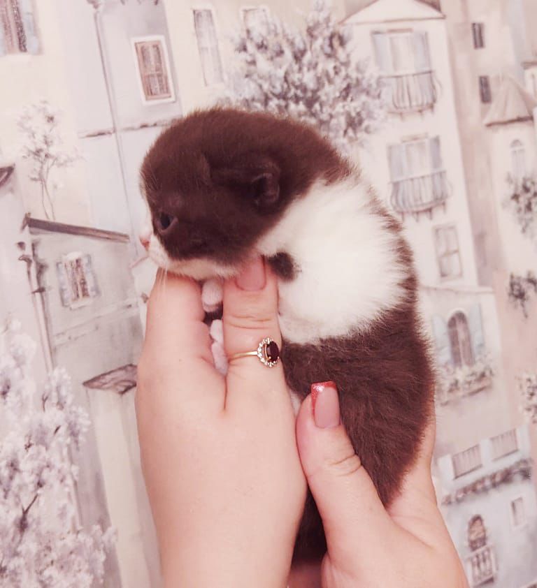 WhatsApp Image 2026-04-09 at 17.43.43 (1)