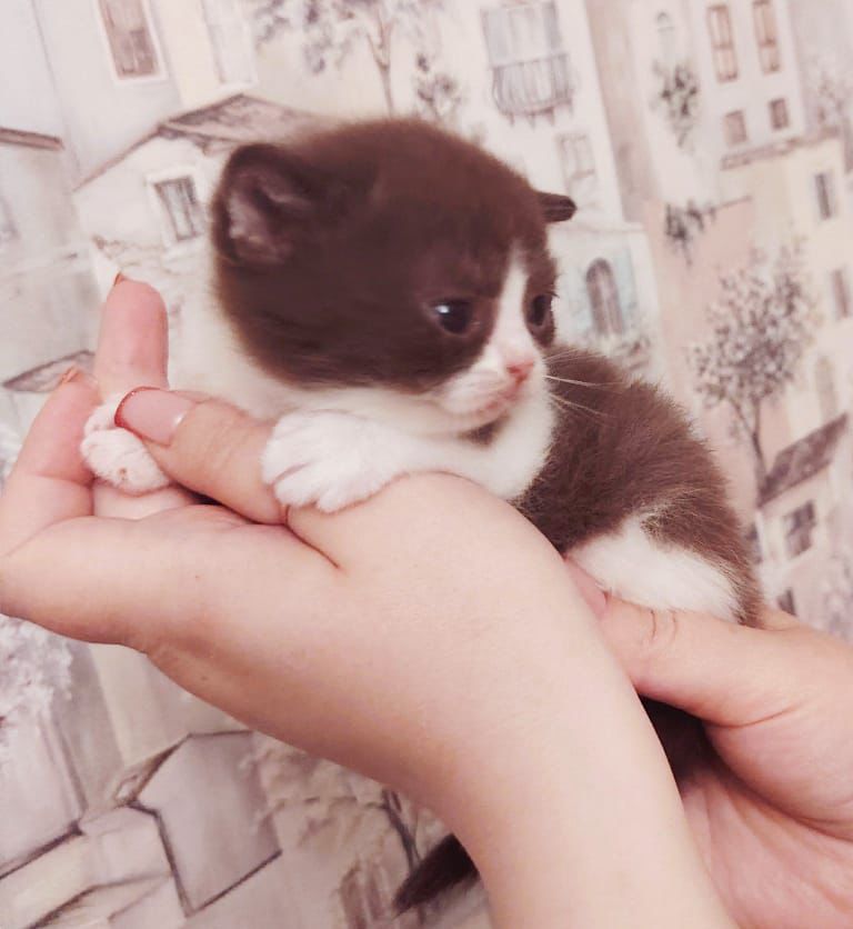 WhatsApp Image 2026-04-09 at 17.43.43 (2)