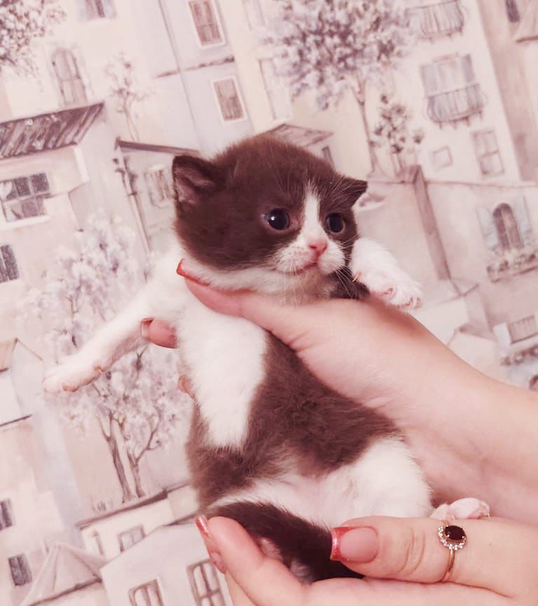 WhatsApp Image 2026-04-09 at 17.43.43 (3)