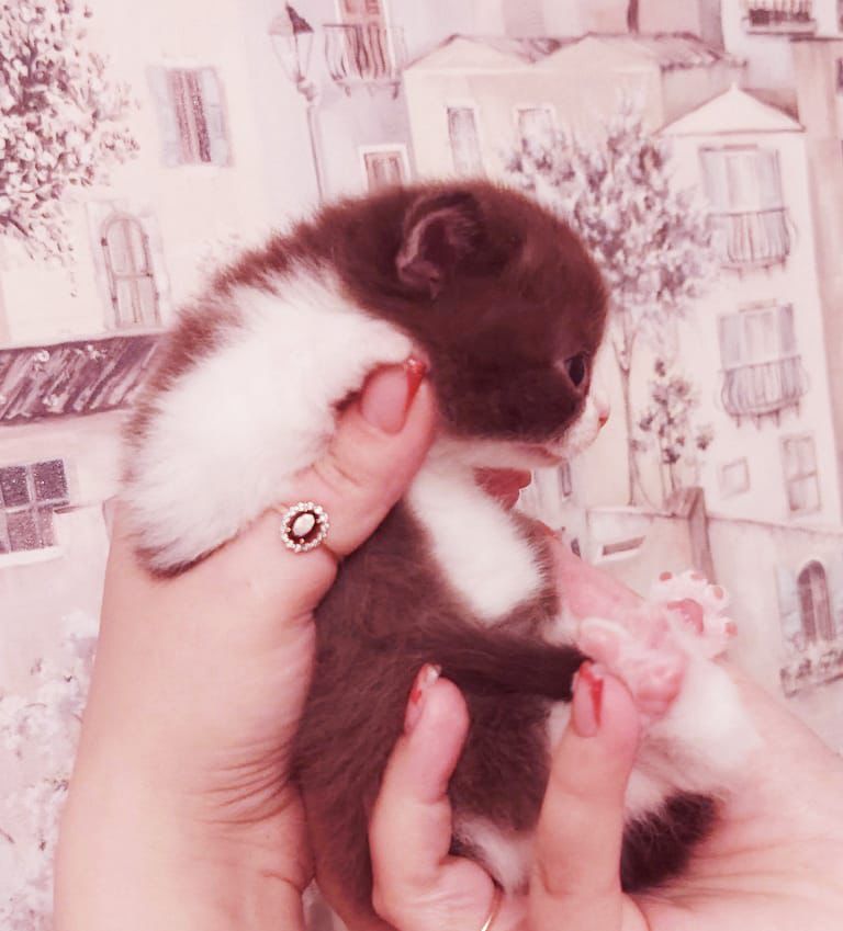 WhatsApp Image 2026-04-09 at 17.43.43