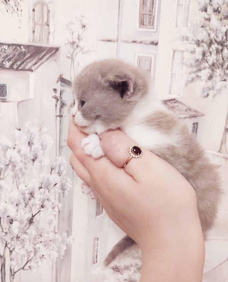 WhatsApp Image 2026-04-09 at 17.44.08 (1)