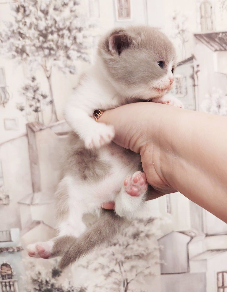 WhatsApp Image 2026-04-09 at 17.44.08 (2)