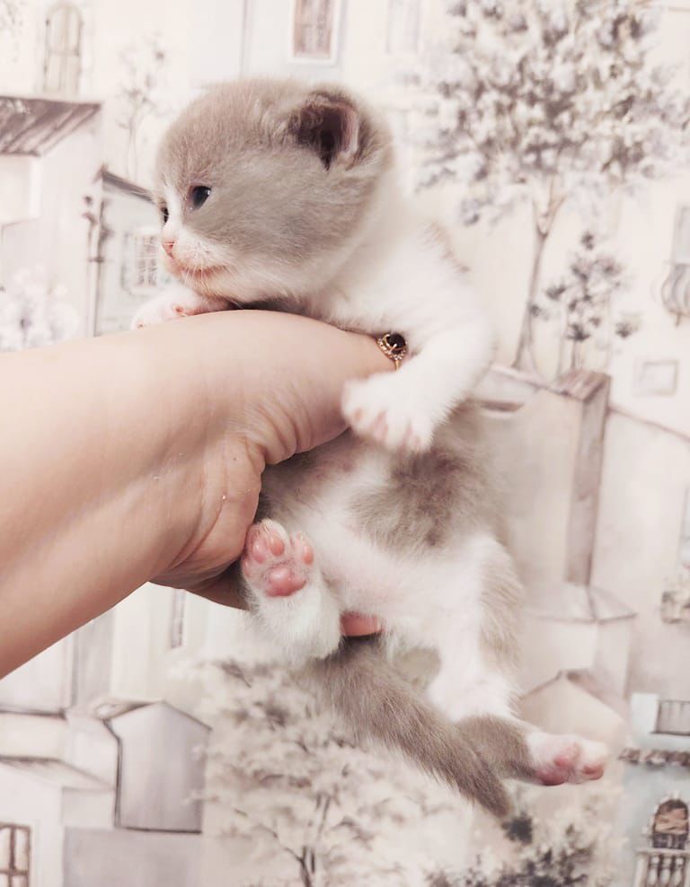 WhatsApp Image 2026-04-09 at 17.44.08