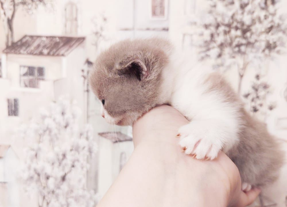 WhatsApp Image 2026-04-09 at 17.44.09 (2)