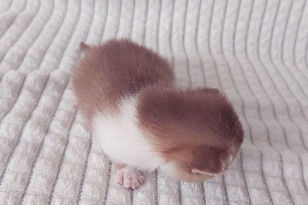 WhatsApp Image 2026-04-09 at 17.44.46 (1)