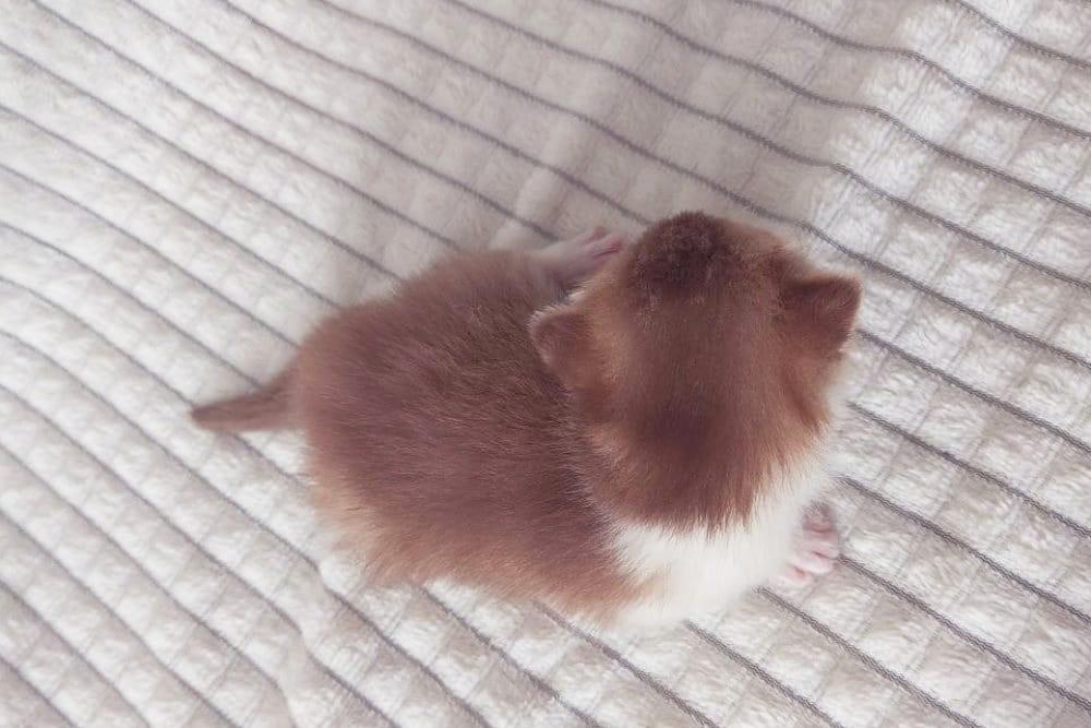 WhatsApp Image 2026-04-09 at 17.44.46 (2)