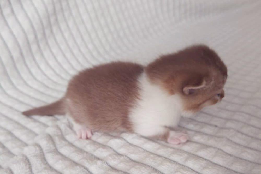 WhatsApp Image 2026-04-09 at 17.44.46 (3)