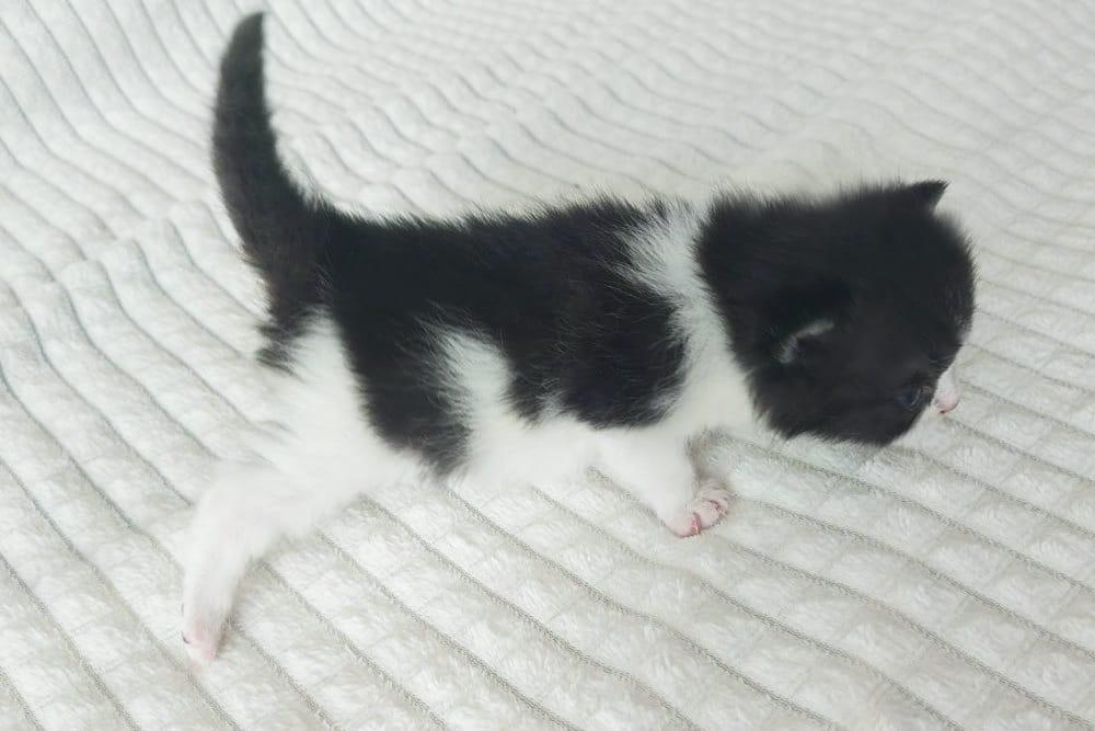 WhatsApp Image 2026-04-09 at 17.45.54 (1)