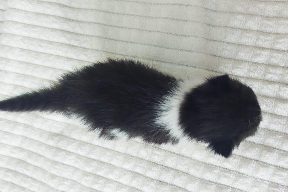 WhatsApp Image 2026-04-09 at 17.45.54 (2)