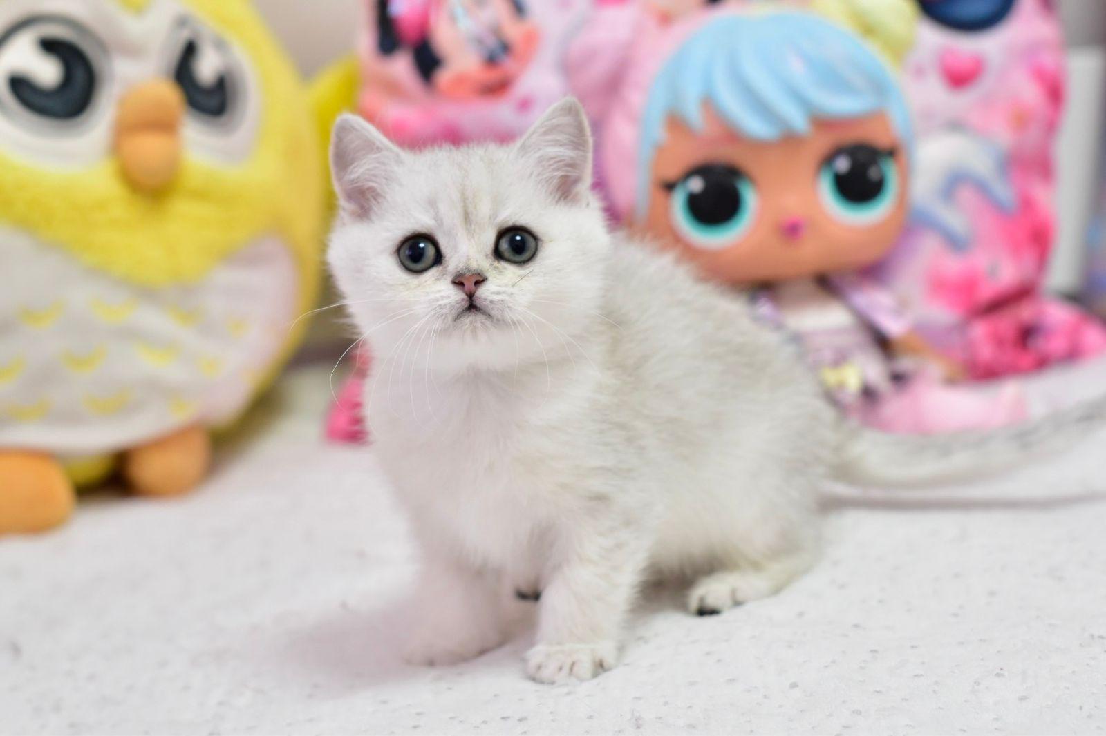 WhatsApp Image 2026-04-09 at 17.47.21 (2)