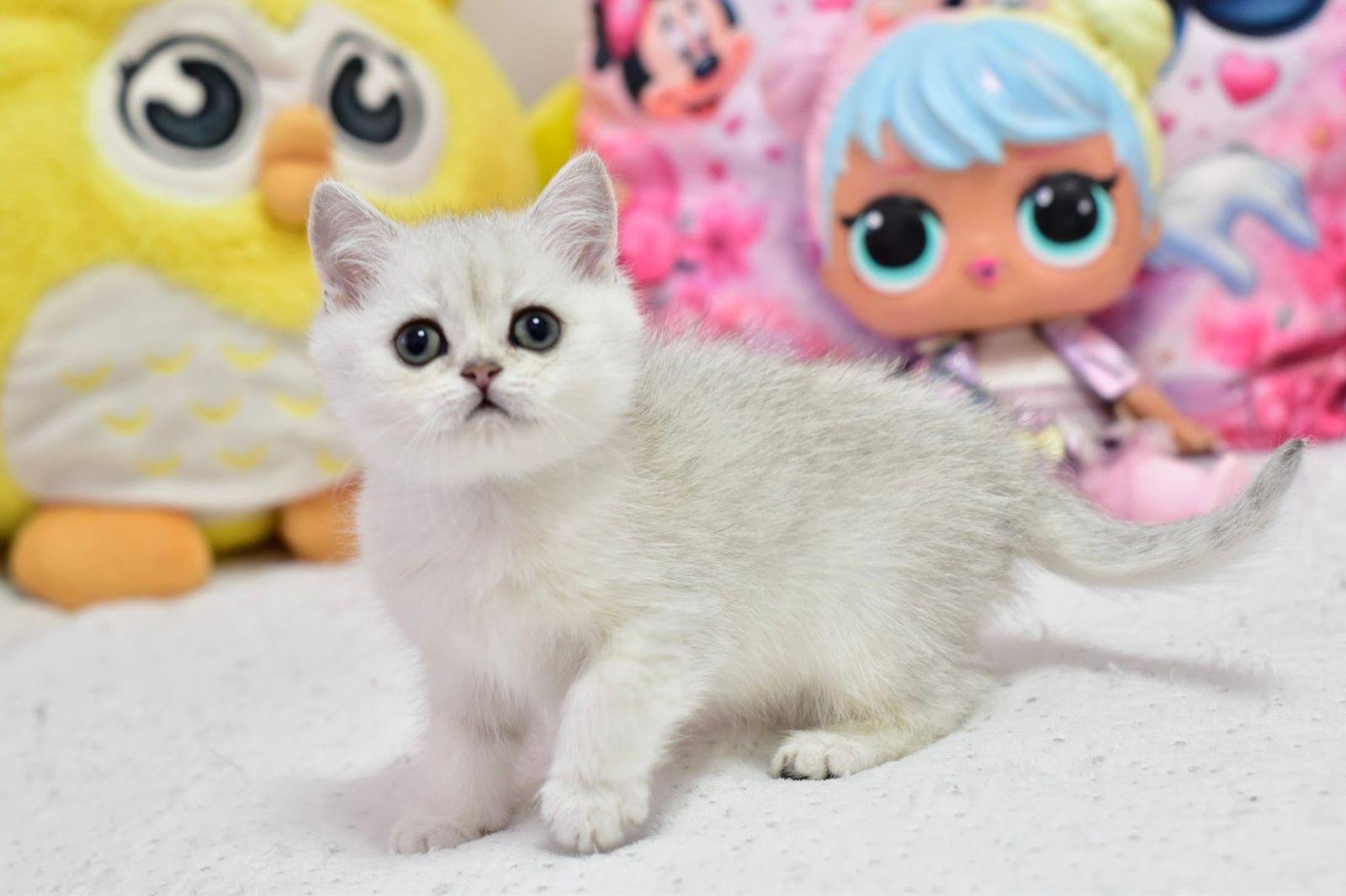 WhatsApp Image 2026-04-09 at 17.47.22 (1)