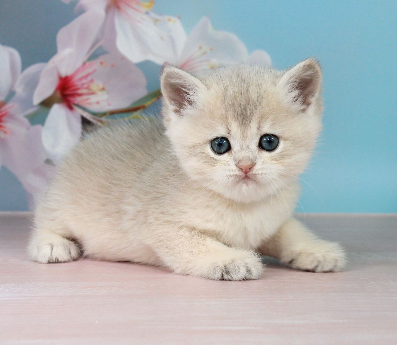 WhatsApp Image 2026-04-20 at 13.34.33 (2)