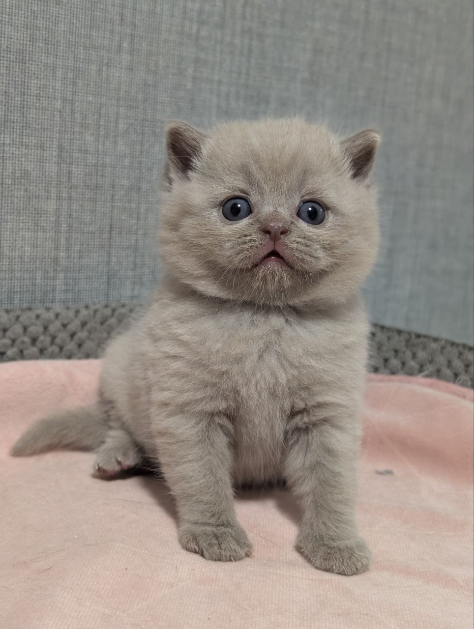 photo_2026-04-18_13-05-51