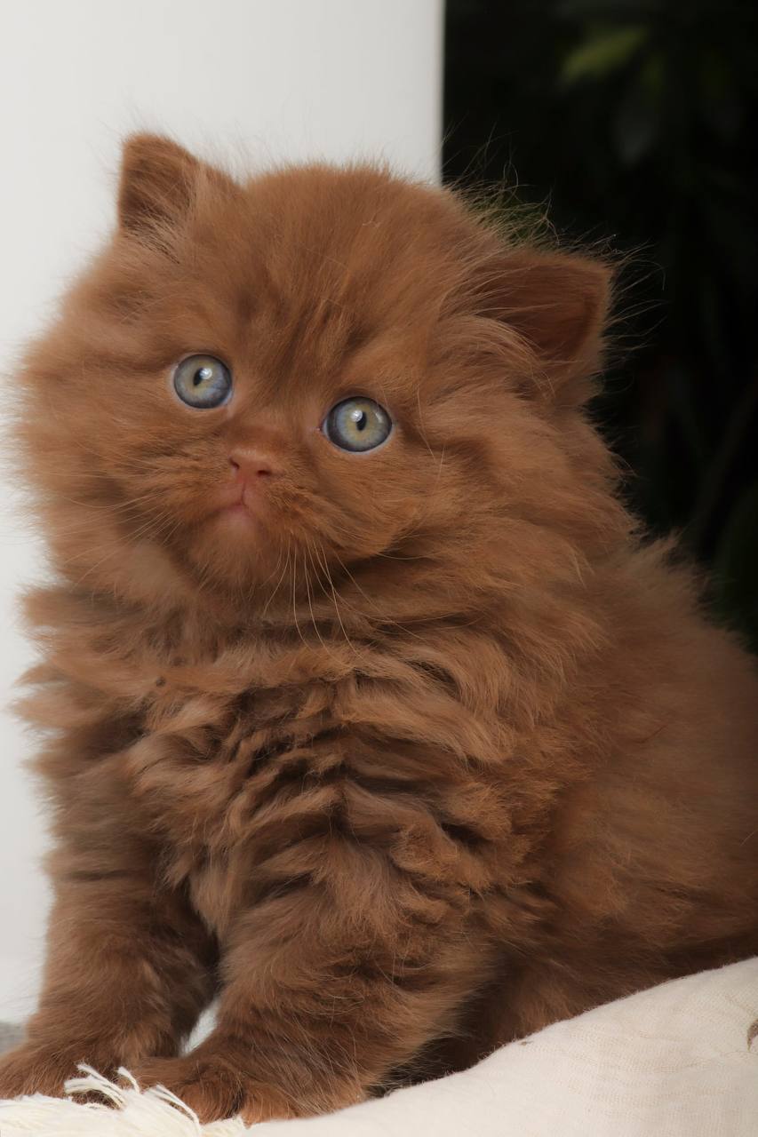 photo_2026-04-18_13-14-31