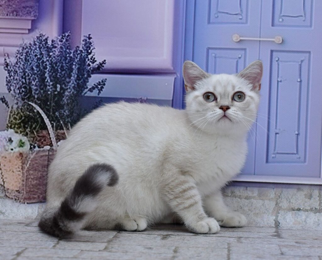 Jina – Female