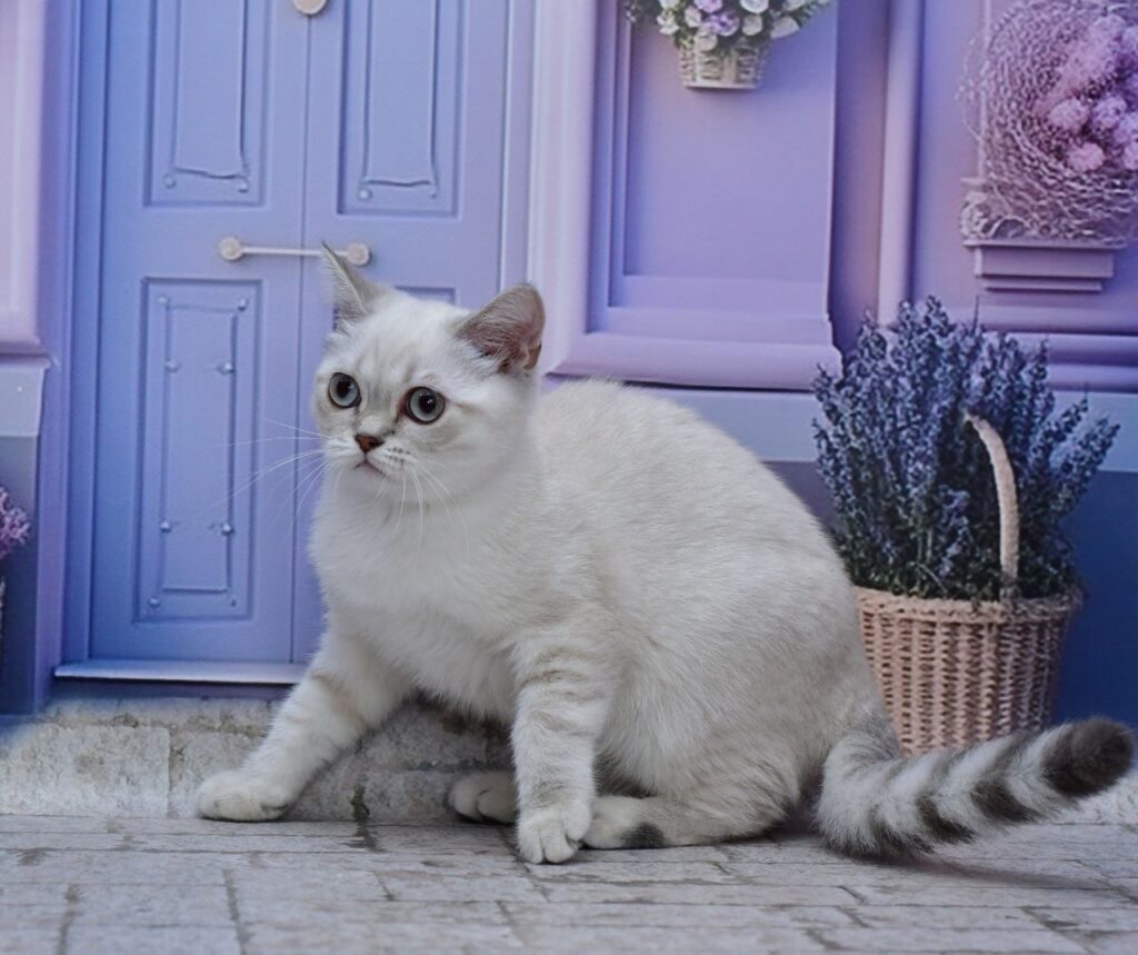 Jina – Female