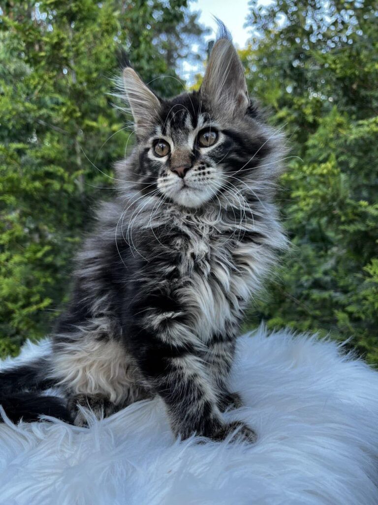 Unix – Male