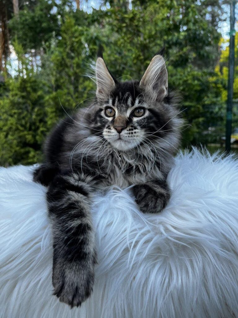 Unix – Male