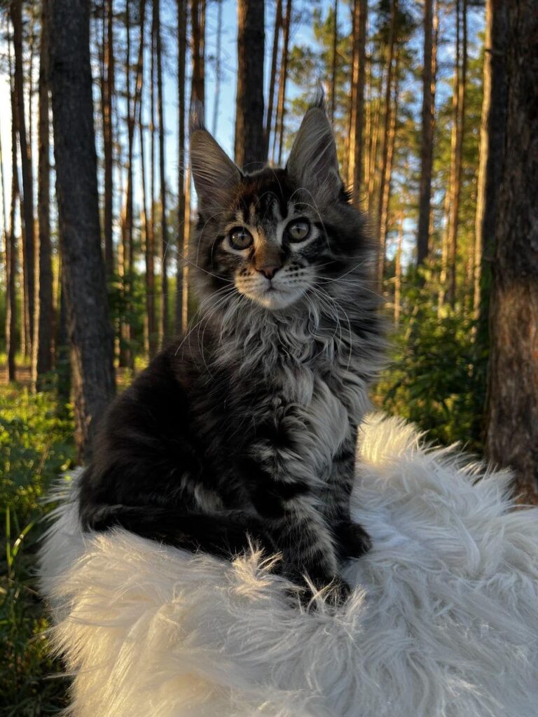 Unix – Male