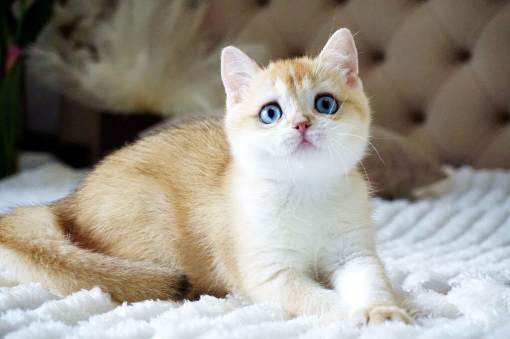 Eric – Male